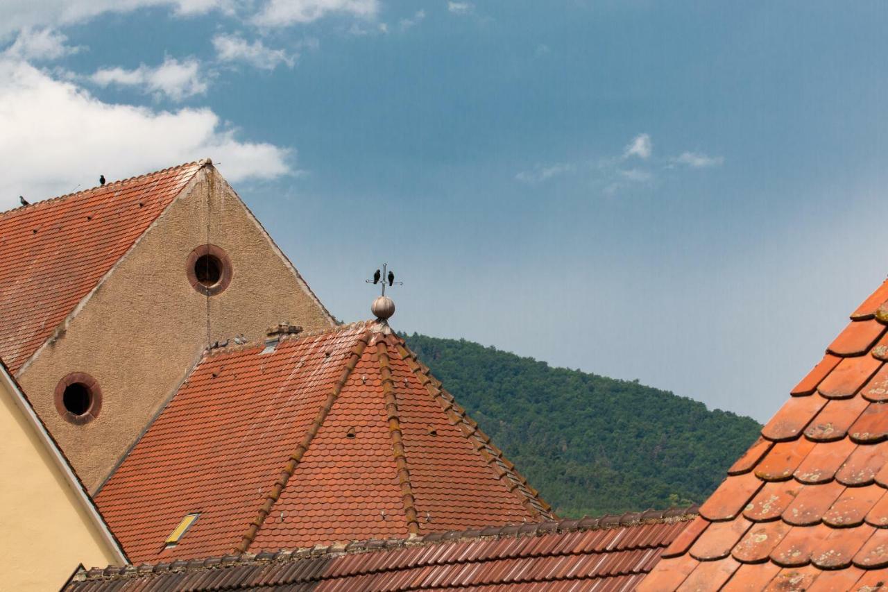 Apartamento La Grange de Madeleine Eguisheim Exterior foto
